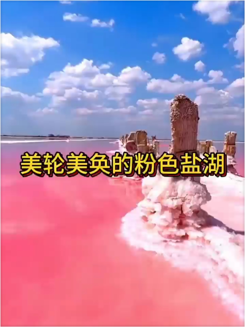 粉色的湖你见过吗？  