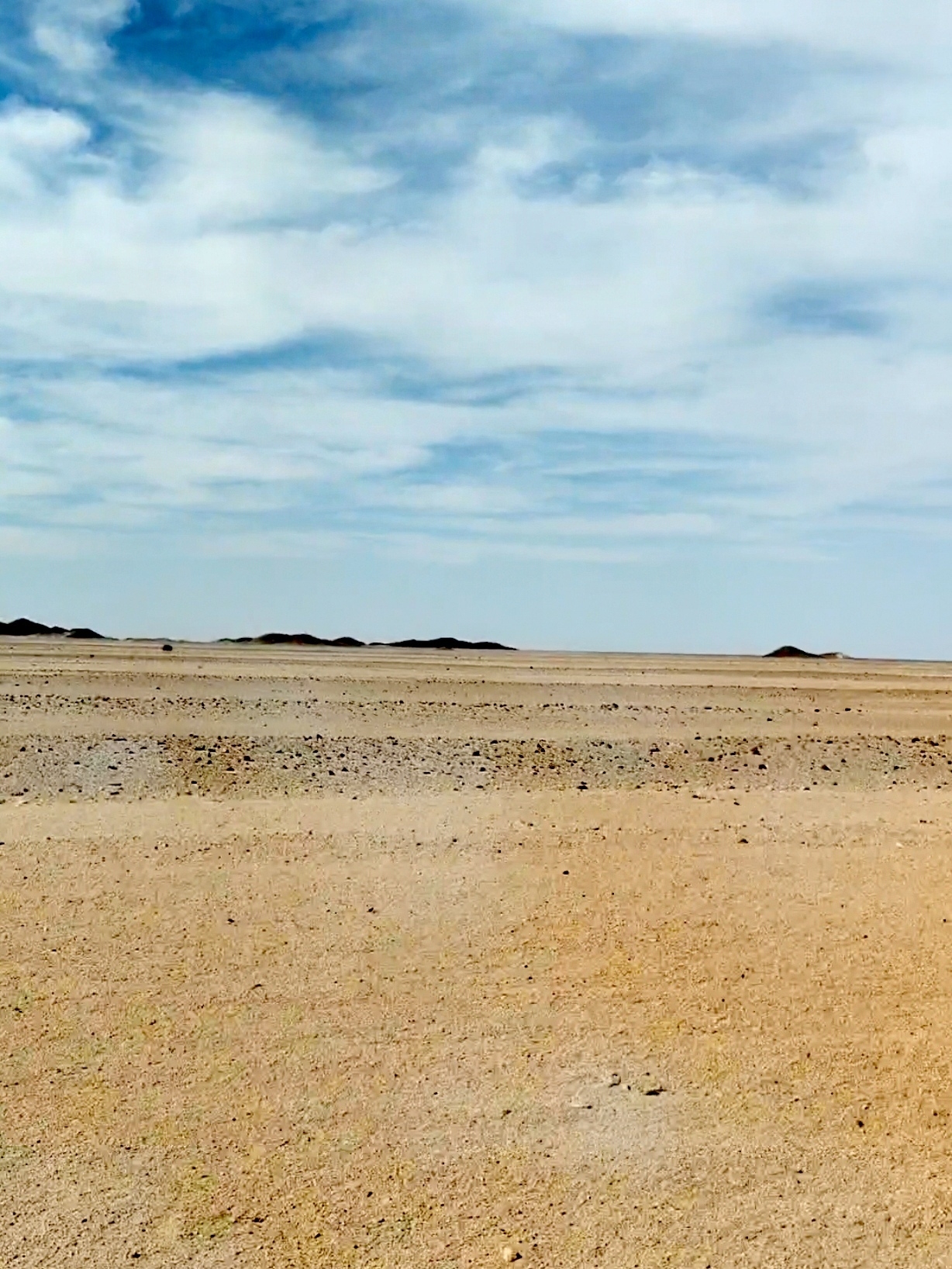﻿撒拉沙漠形成于250万年前，有940万平方公里，是世界上最大的沙漠，比整个美国还要大！沙漠覆盖了1