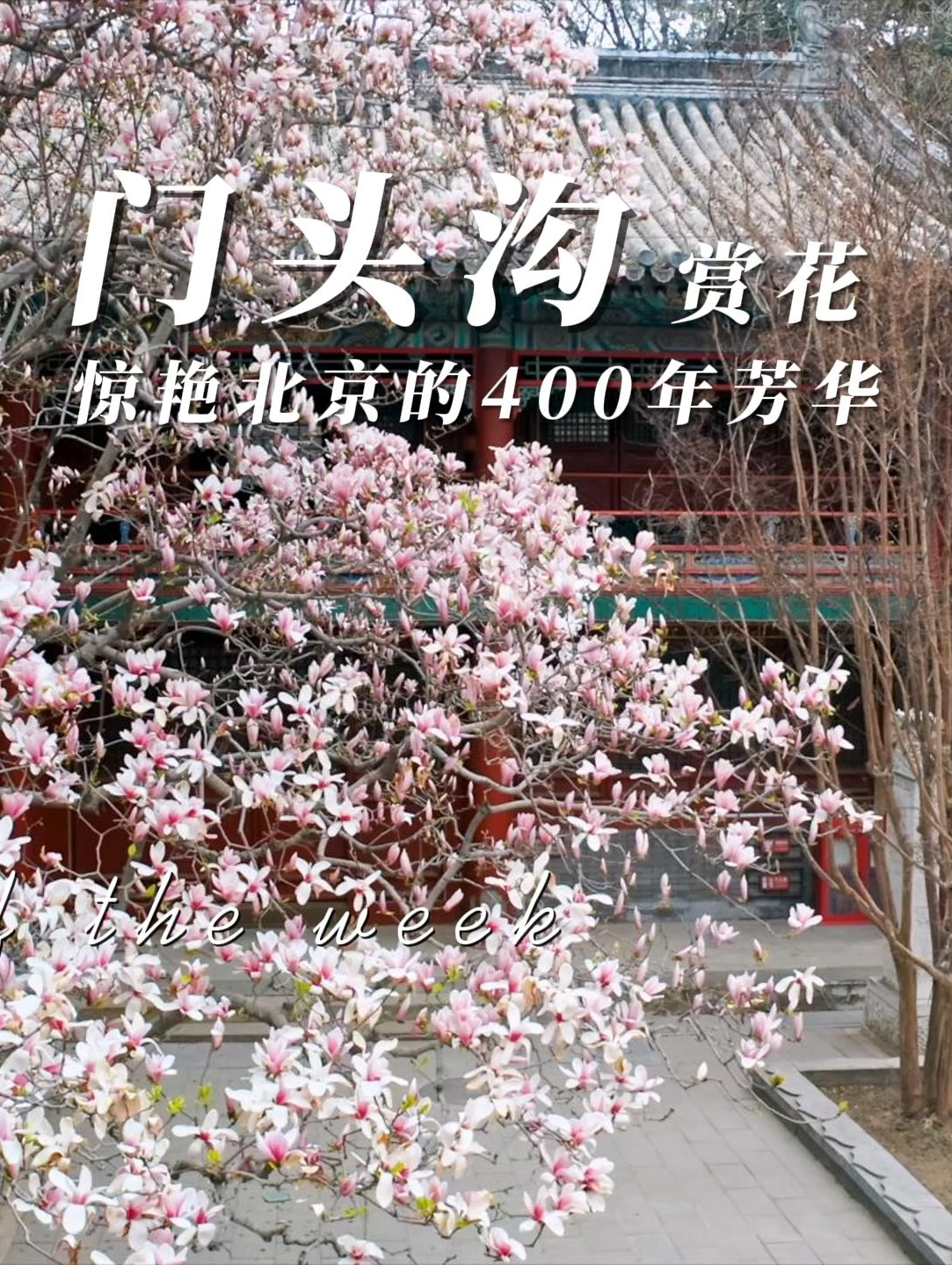 原来北京也有自己的三生三世十里桃花