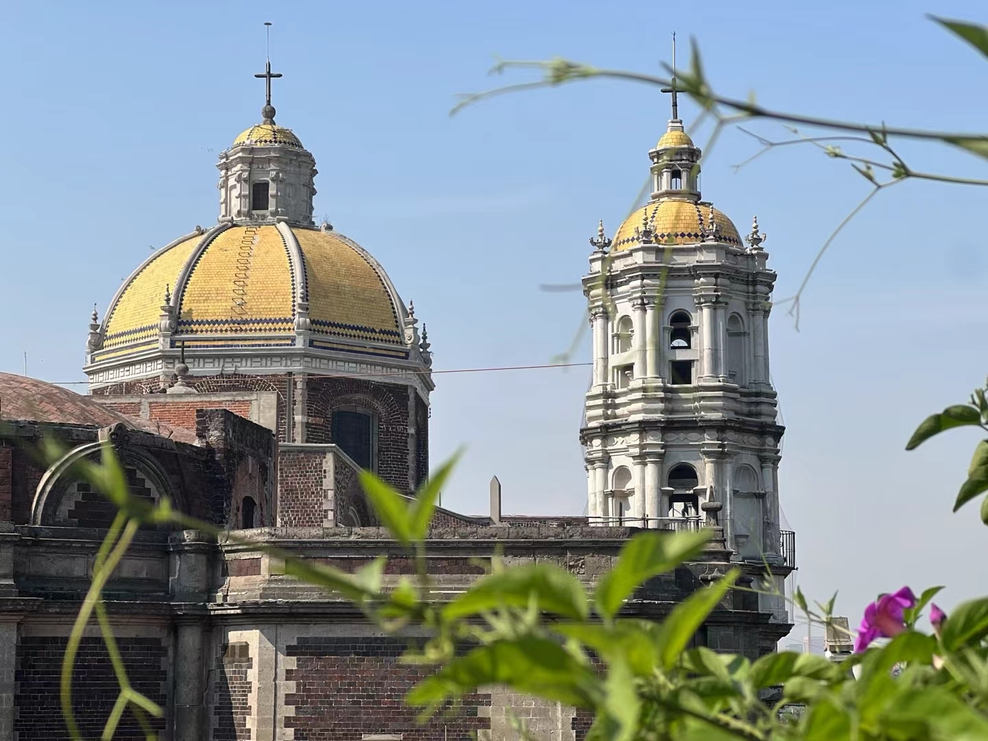 墨西哥─瓜达卢佩圣母大教堂