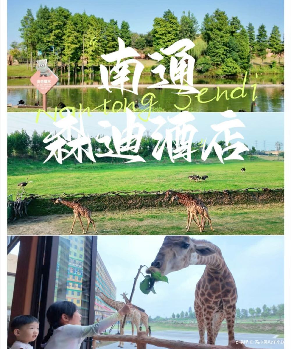 森迪酒店(南通森林野生动物园店)图片