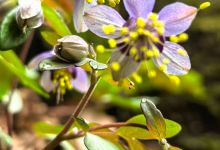 白云人家美食图片