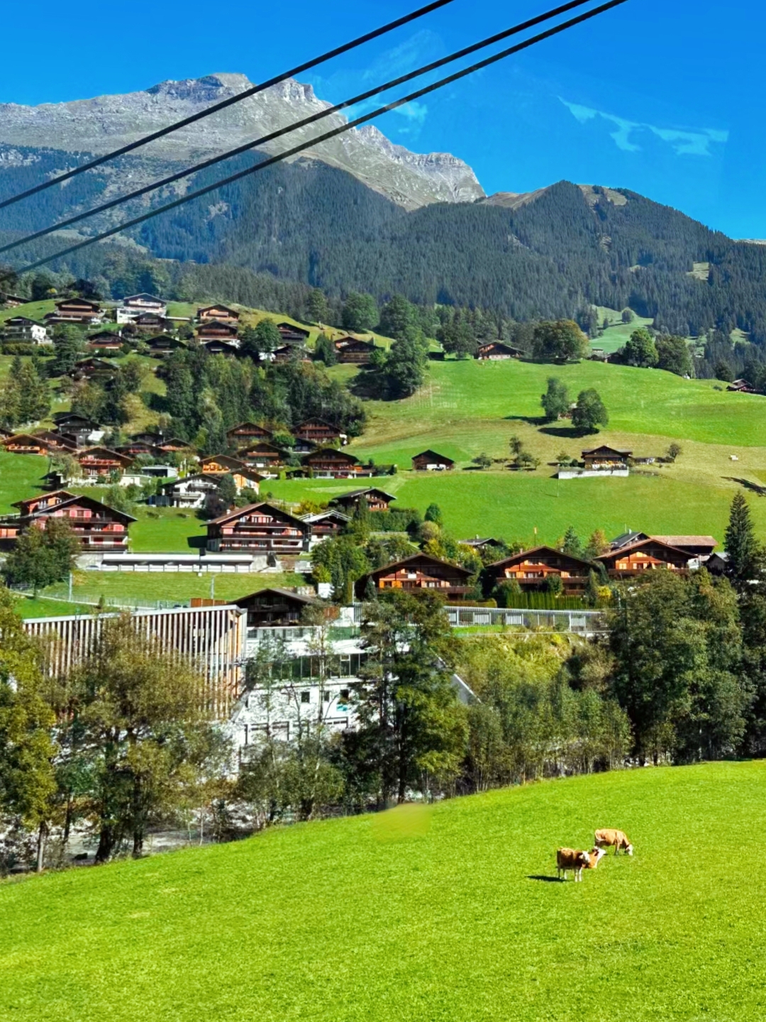 瑞士的风景很美‼️