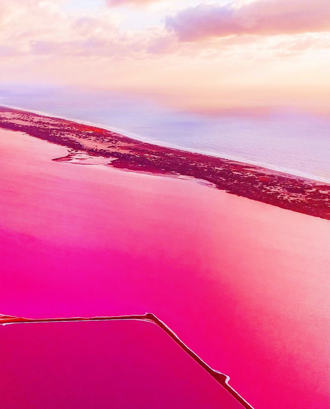 澳大利亚|最值得打卡的粉色湖泊[景点推荐]