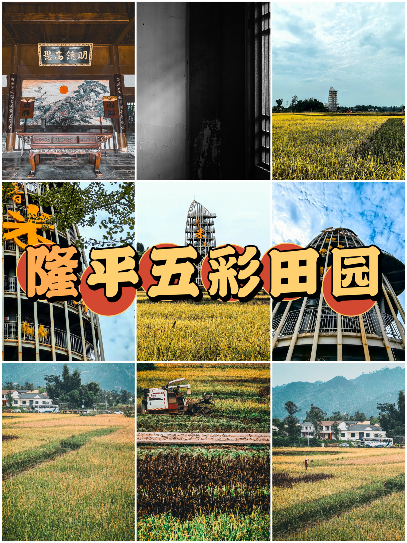 重庆首个水稻科普教育基地，袁隆平杂交水稻科普展览馆