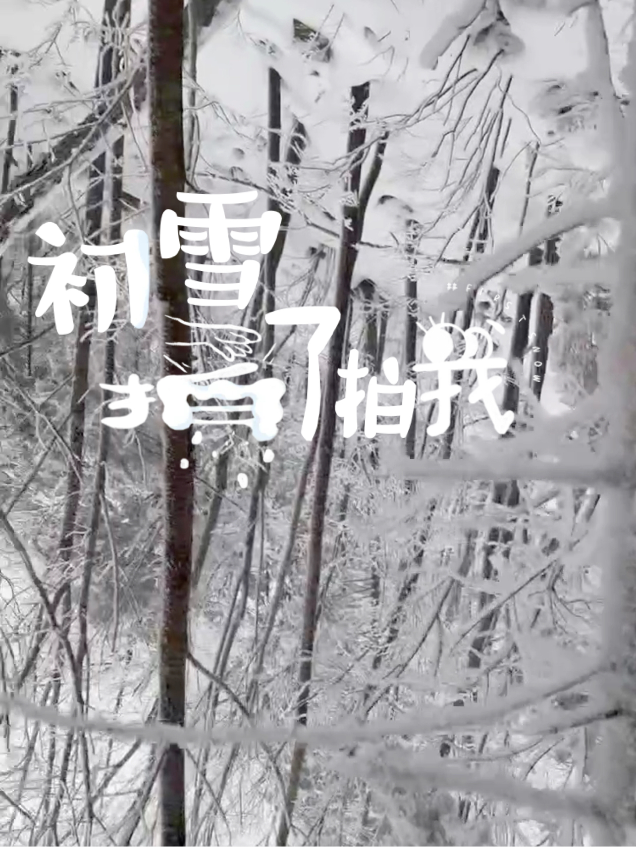 野雪够野了么