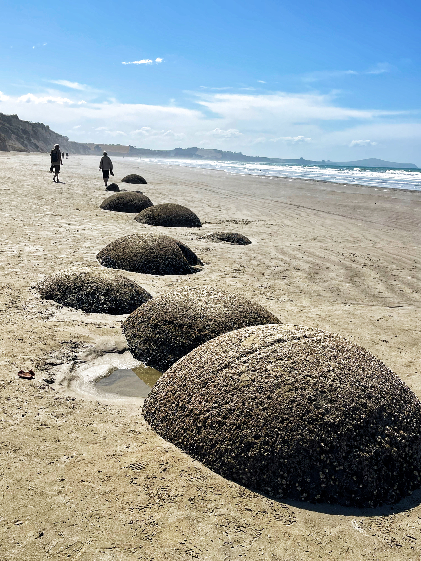 在摩拉基海滩/没看到那么多大圆石