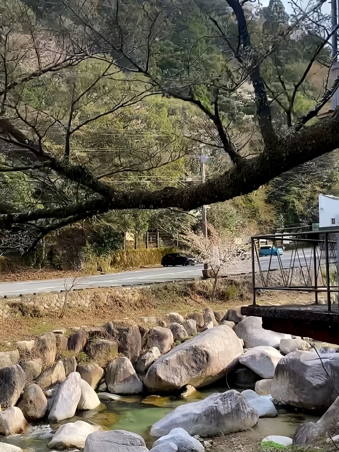 汤の山温泉♨️