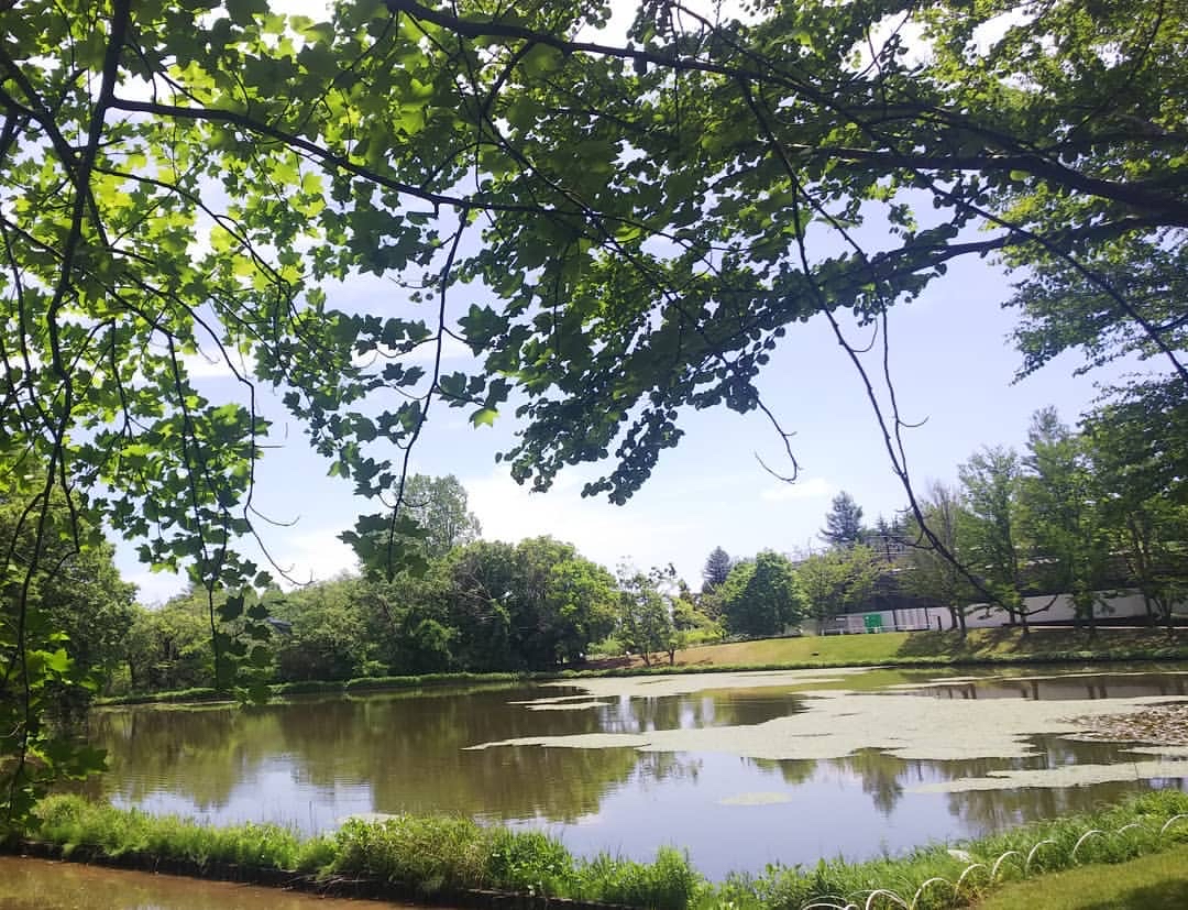 水戸市植物公园，位于日本茨城县水戸市的504 Kobukicho、小吹町，是一个具有丰富历史和文化价