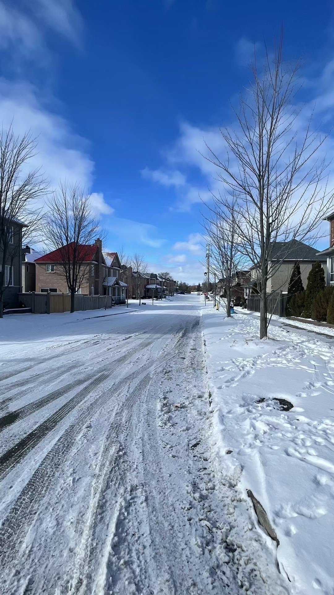 加拿大🇨🇦小镇的雪❄️与帝都的雪❄️
