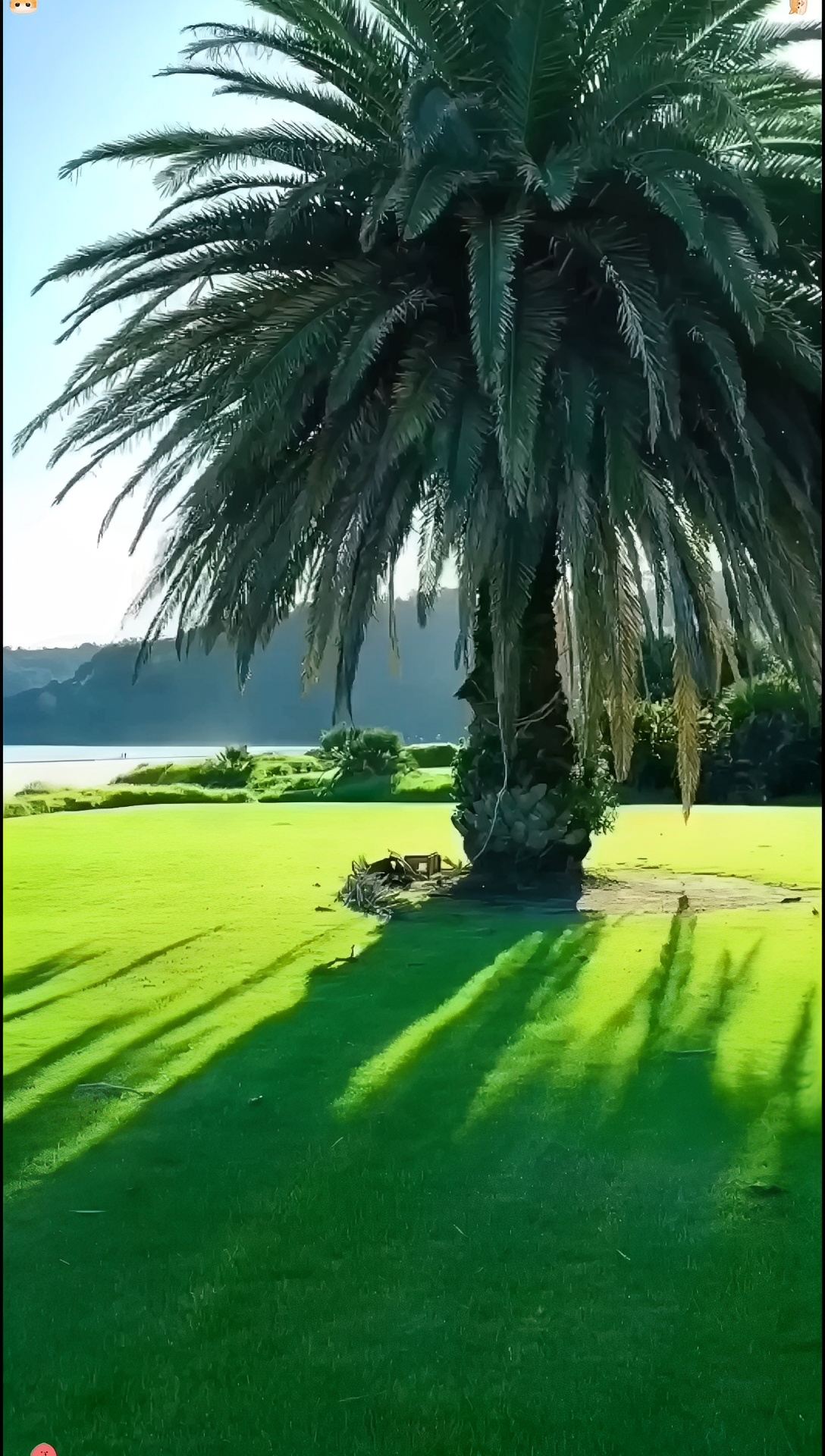 美丽的新西兰北岛