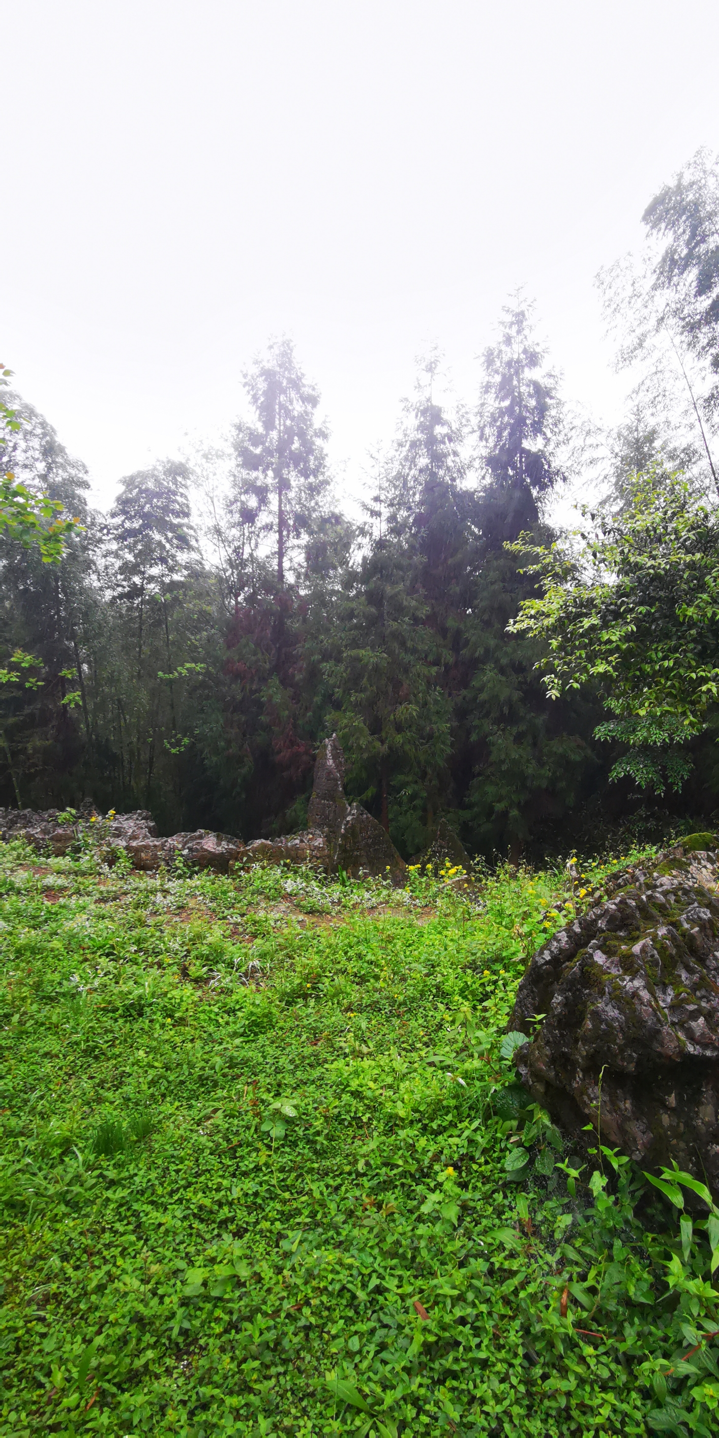 四川省宜宾市僰人巨石阵景区。