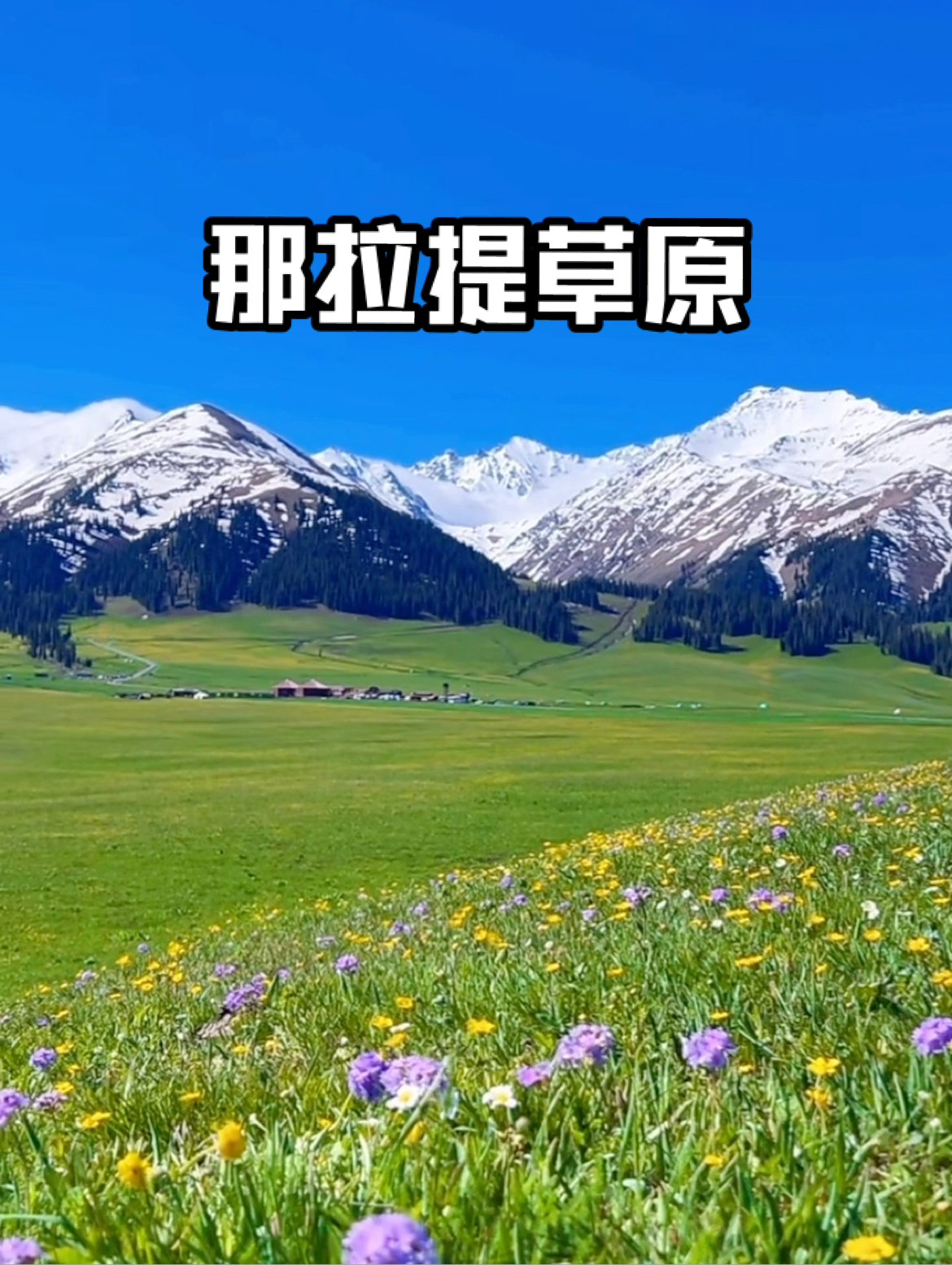可惜你不来那拉提 又怎会知道春天的那拉提草原有多浪漫。 #治愈系风景 #新疆旅游攻略 #一个人说走就