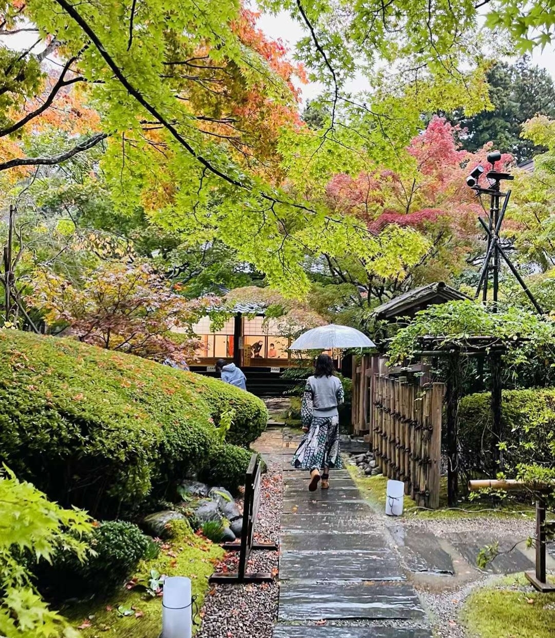 绵绵秋雨中，慢步在利府町赏红叶，更添一份宁静与美丽。