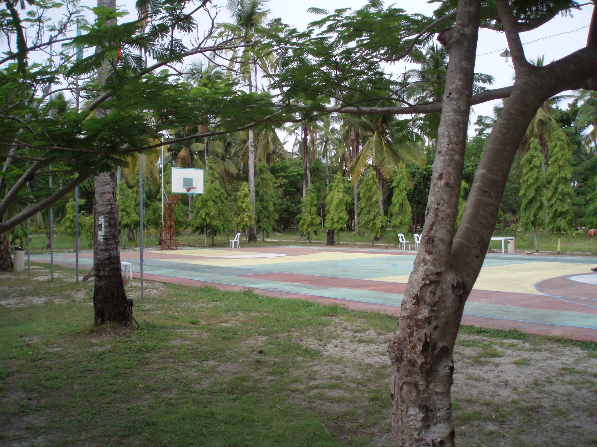 有丰富绿植的篮球场
