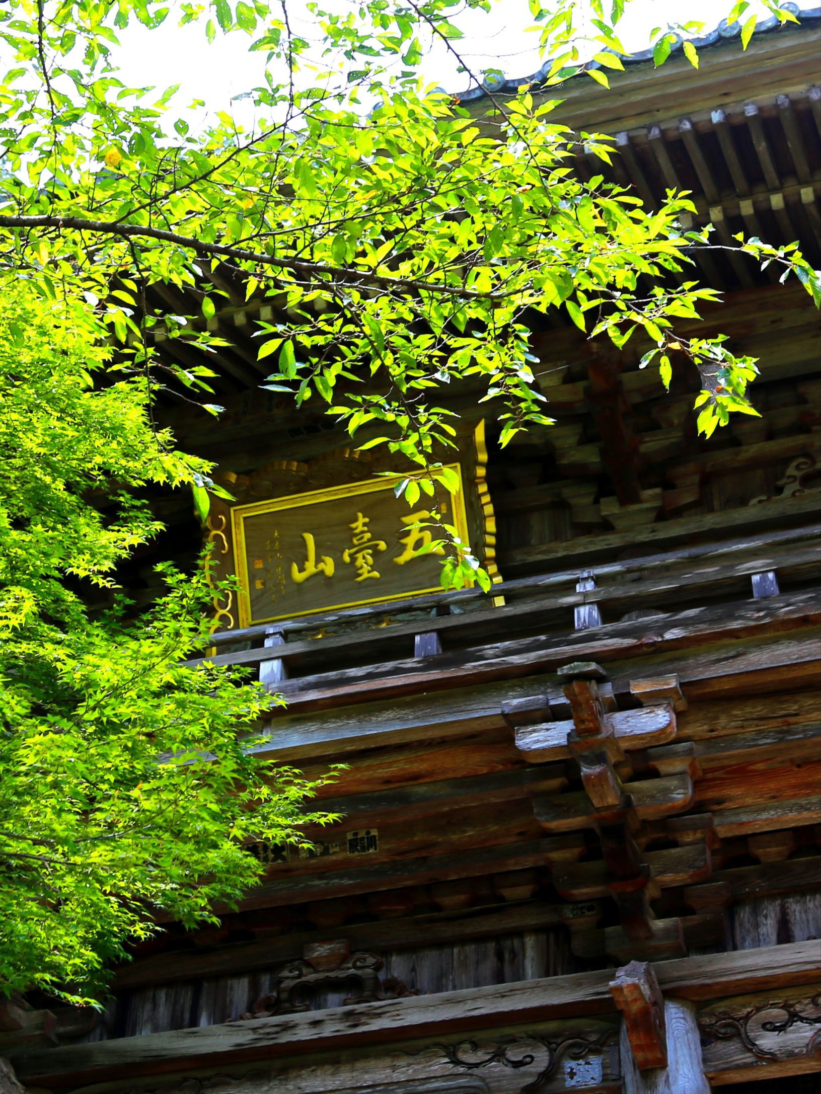 日本也有与我国同名的五台山竹林寺