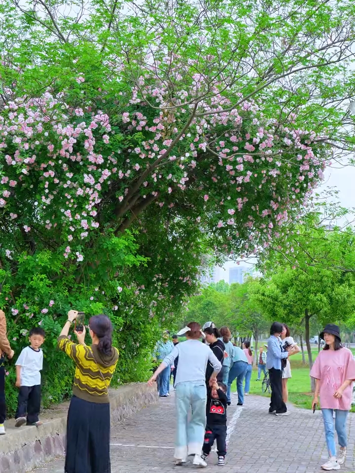 六安赤壁大桥