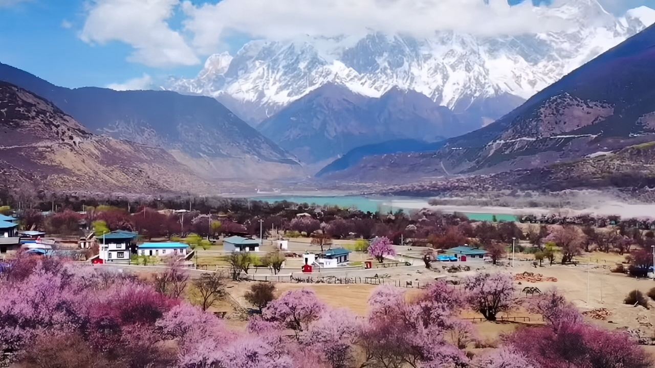 私人订制，西藏线雪山加桃花是种什么样的感觉，让我带你去桃花沟体验一把…#玩转户外
