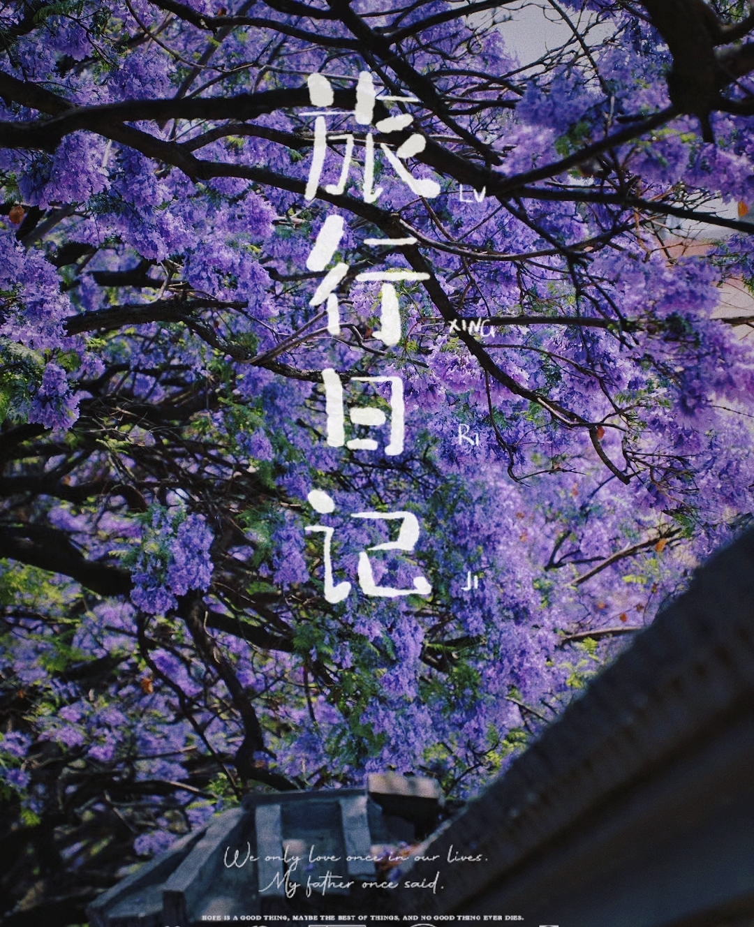 #蓝花楹撑起春日昆明绝美街景 云南旅游|四五月份的昆明，满城尽是蓝花楹 四五月的昆明是蓝紫色的，梦幻