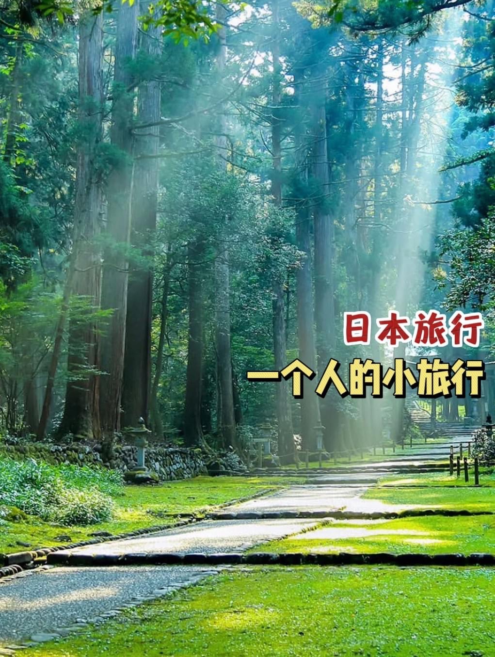 【#日本旅行】 #带你走进神秘幻境的精灵之森