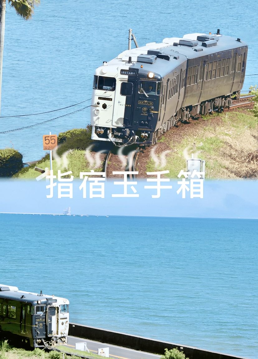 日本九州旅行 神秘的黑白列车