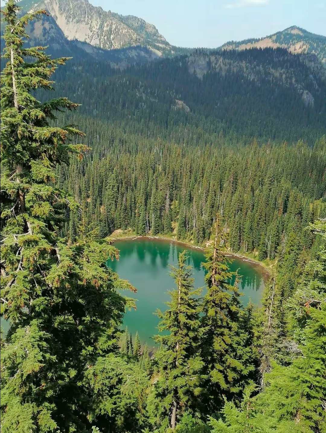 西雅图 打卡国家公园——雷尼尔山！