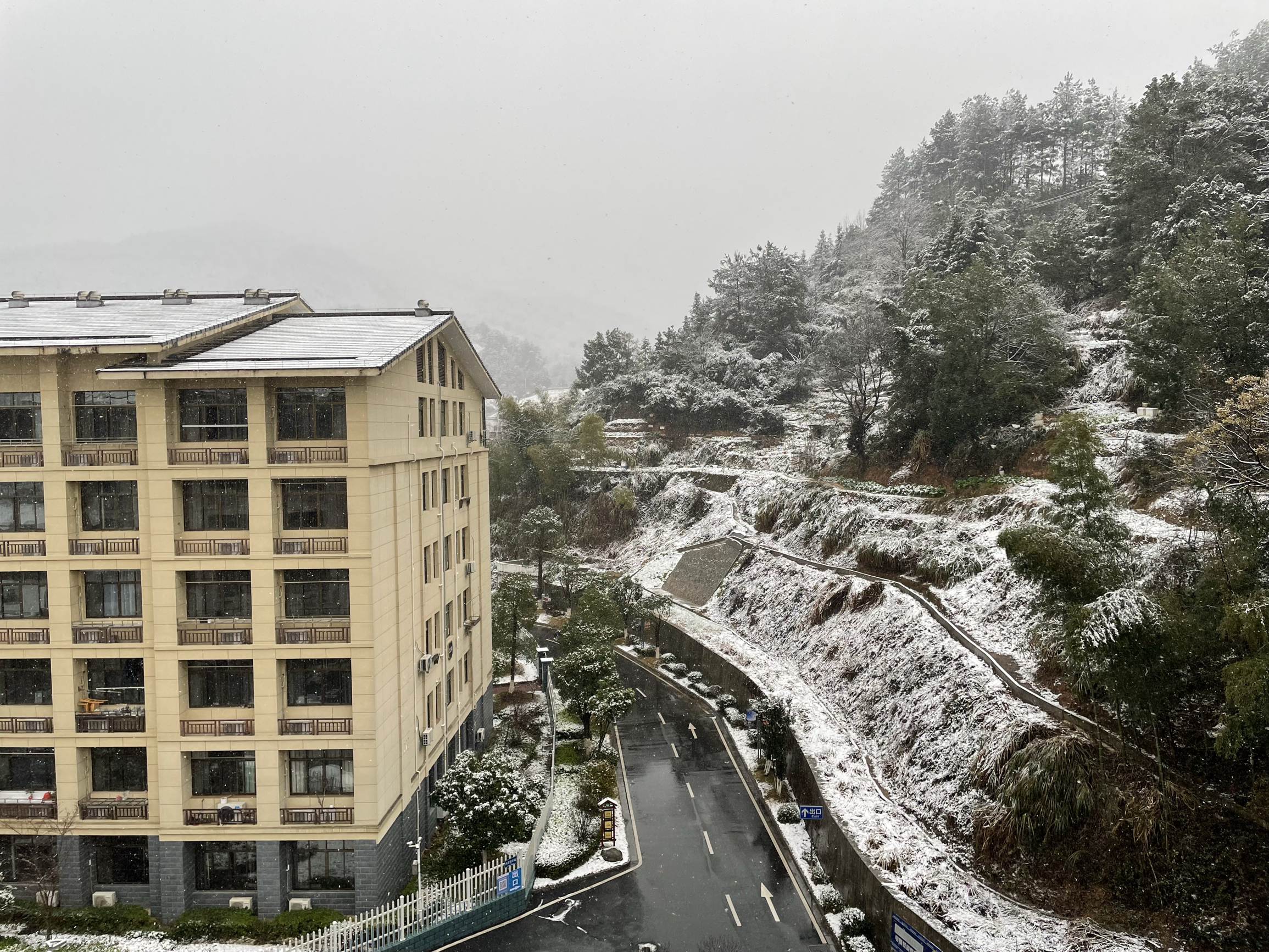 小镇大雪❄️