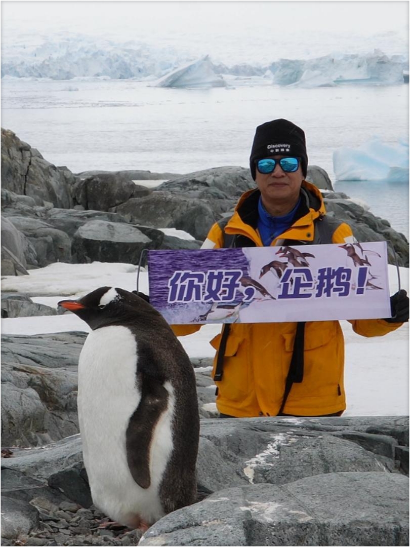 探索南极，发现第七大陆可爱动物们