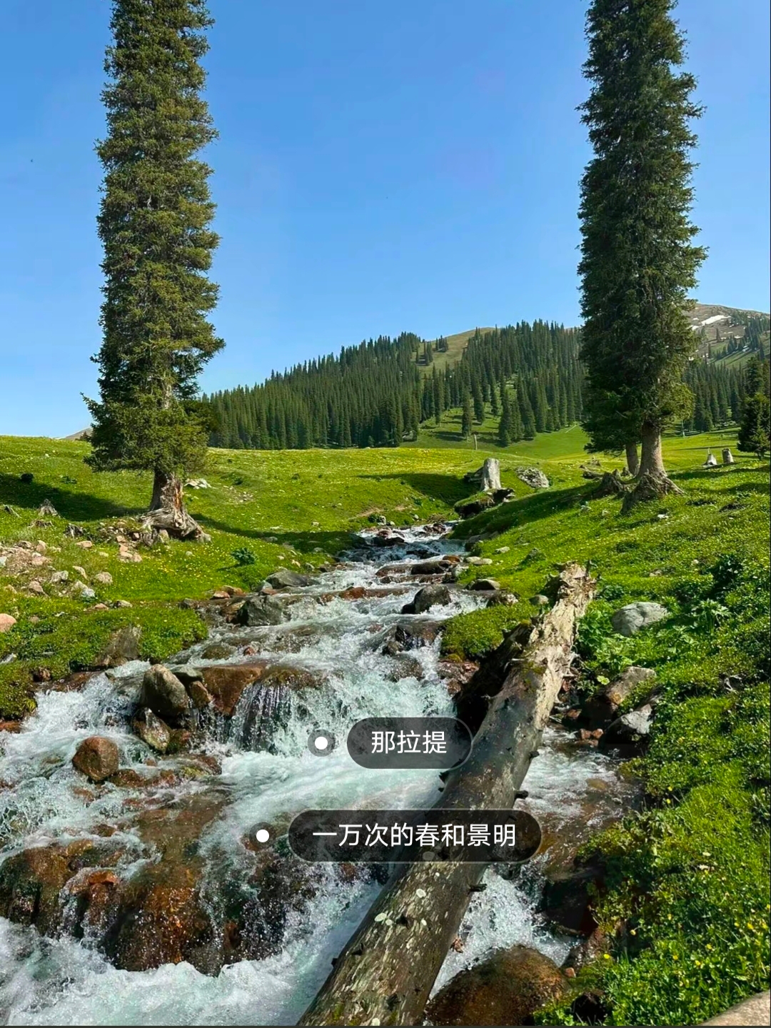 你可以永远相信新疆的夏天!