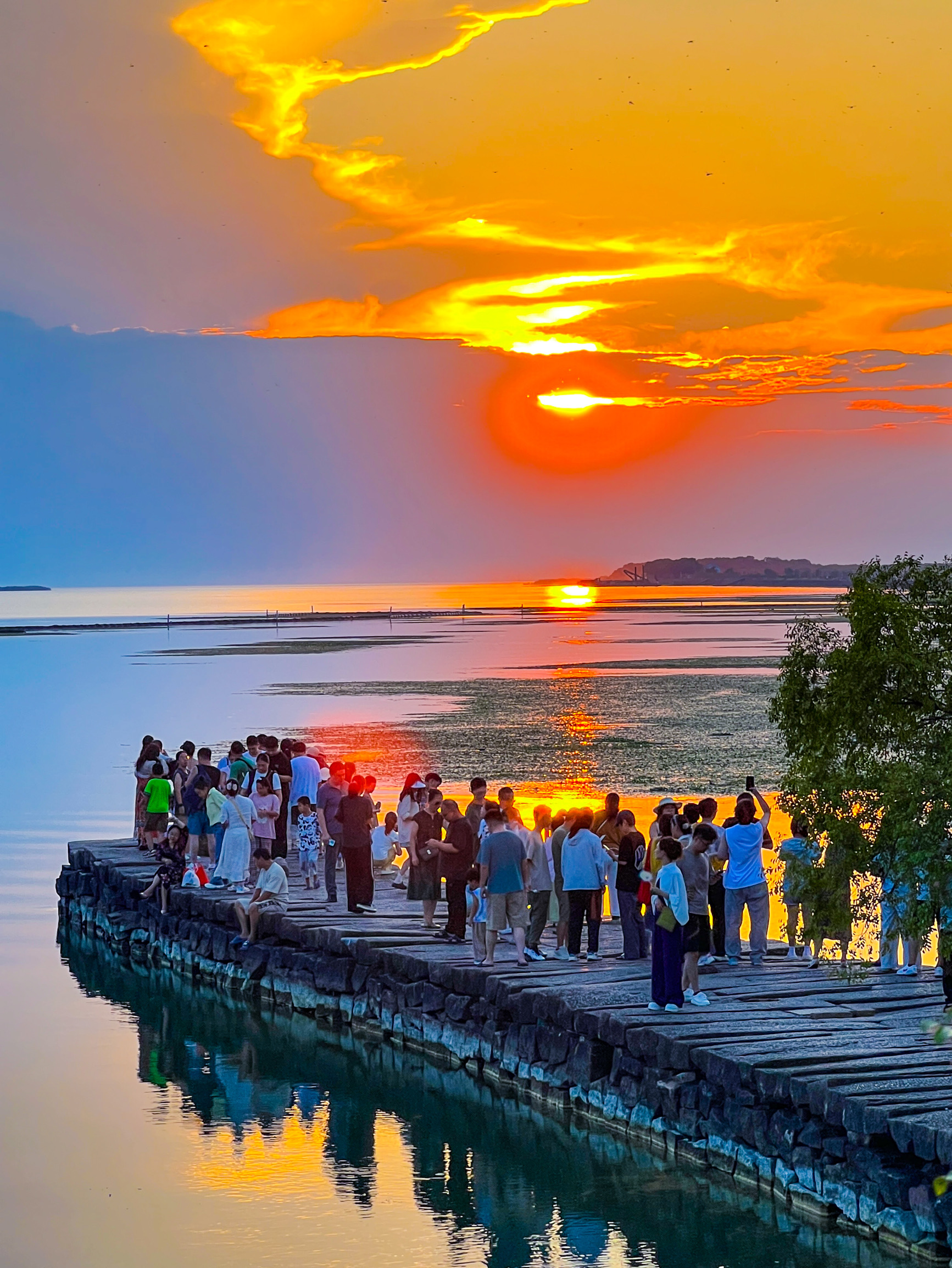 杨梅餐厅·太湖菜（西山明月湾店）