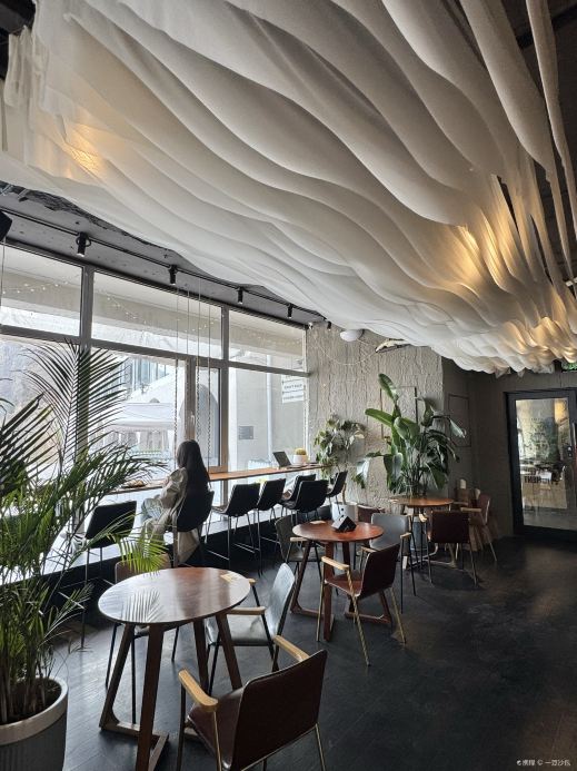 须来Coffee&Bar