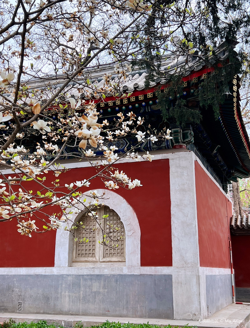 万寿寺