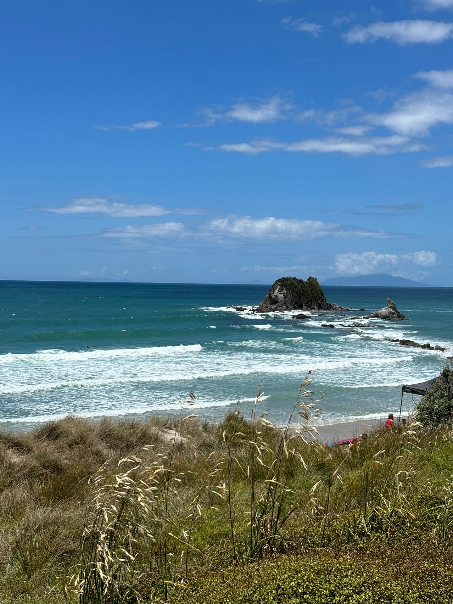 来新西兰北岛感受大自然的魅力吧！！！