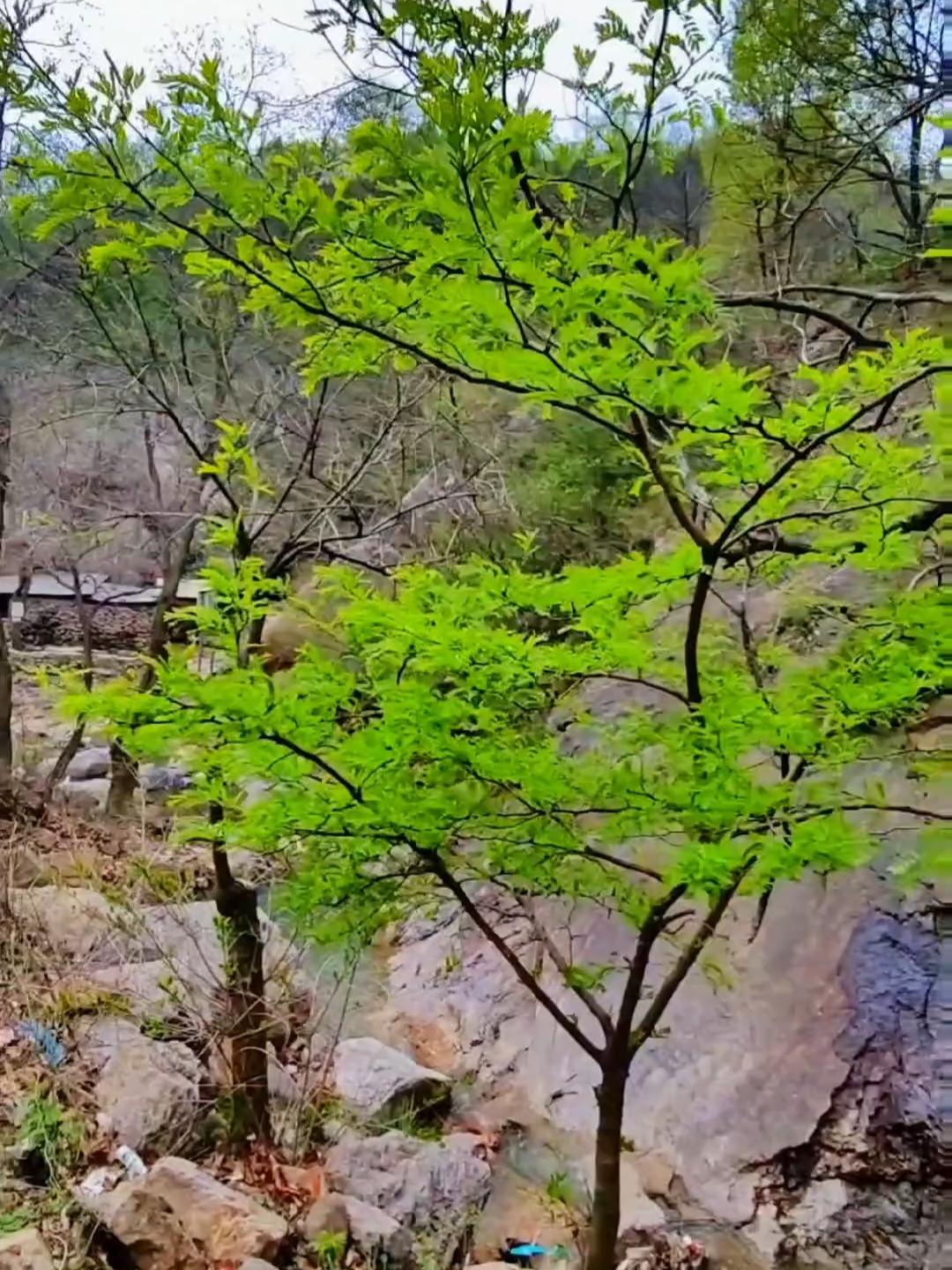 蛤蟆嘴洞位于叶县常村乡柴巴村