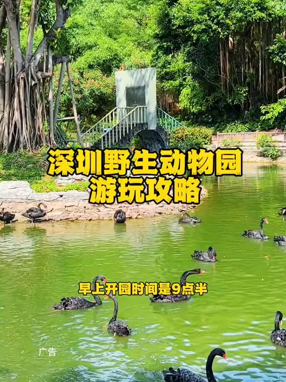 五一快到了，快带上你家娃来#深圳野生动物园吧！