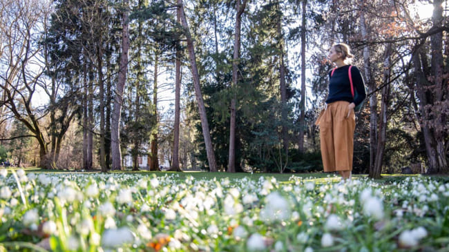 因斯布鲁克的春天，是感情深处的彩绘集：山谷里的冬日絮语渐行渐远，初绽的雪莲与郁金香在花园间悄然竞艳。
