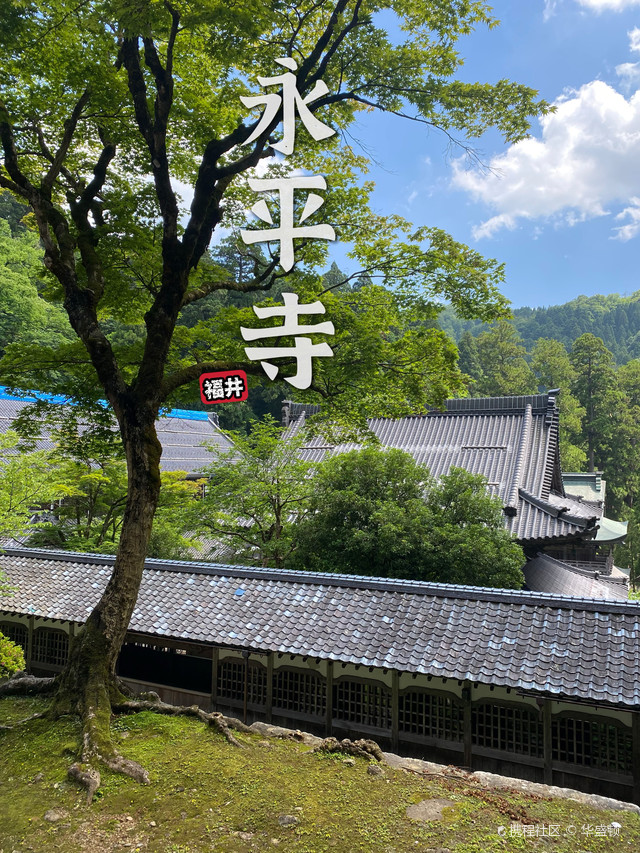 位于福井县永平寺町的永平寺,是日本曹洞宗的大本山,由道元禅师于1244