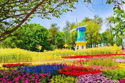 宜昌市夷陵区小溪塔森林公园