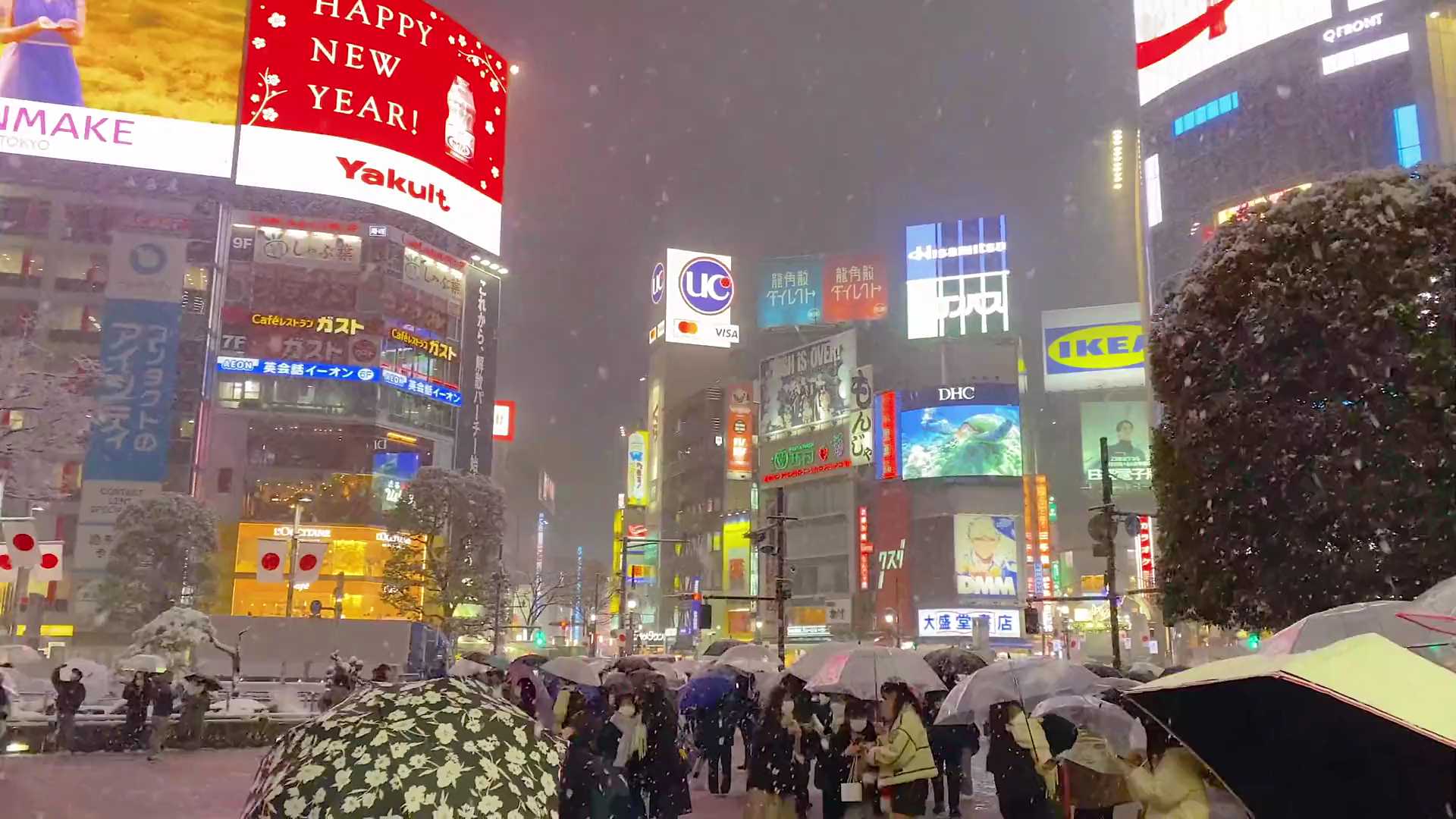 下雪的东京,格外浪漫,像不像日剧照进现实?