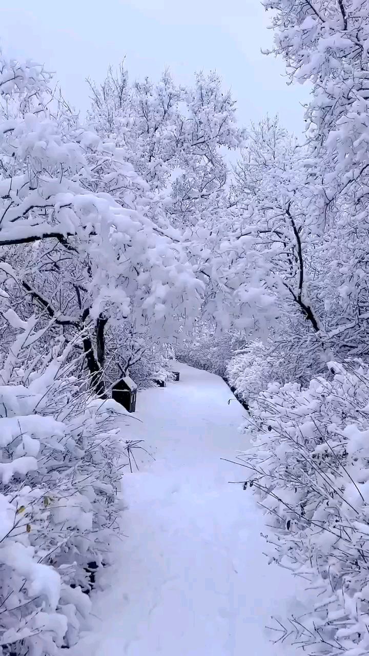 拥水公园