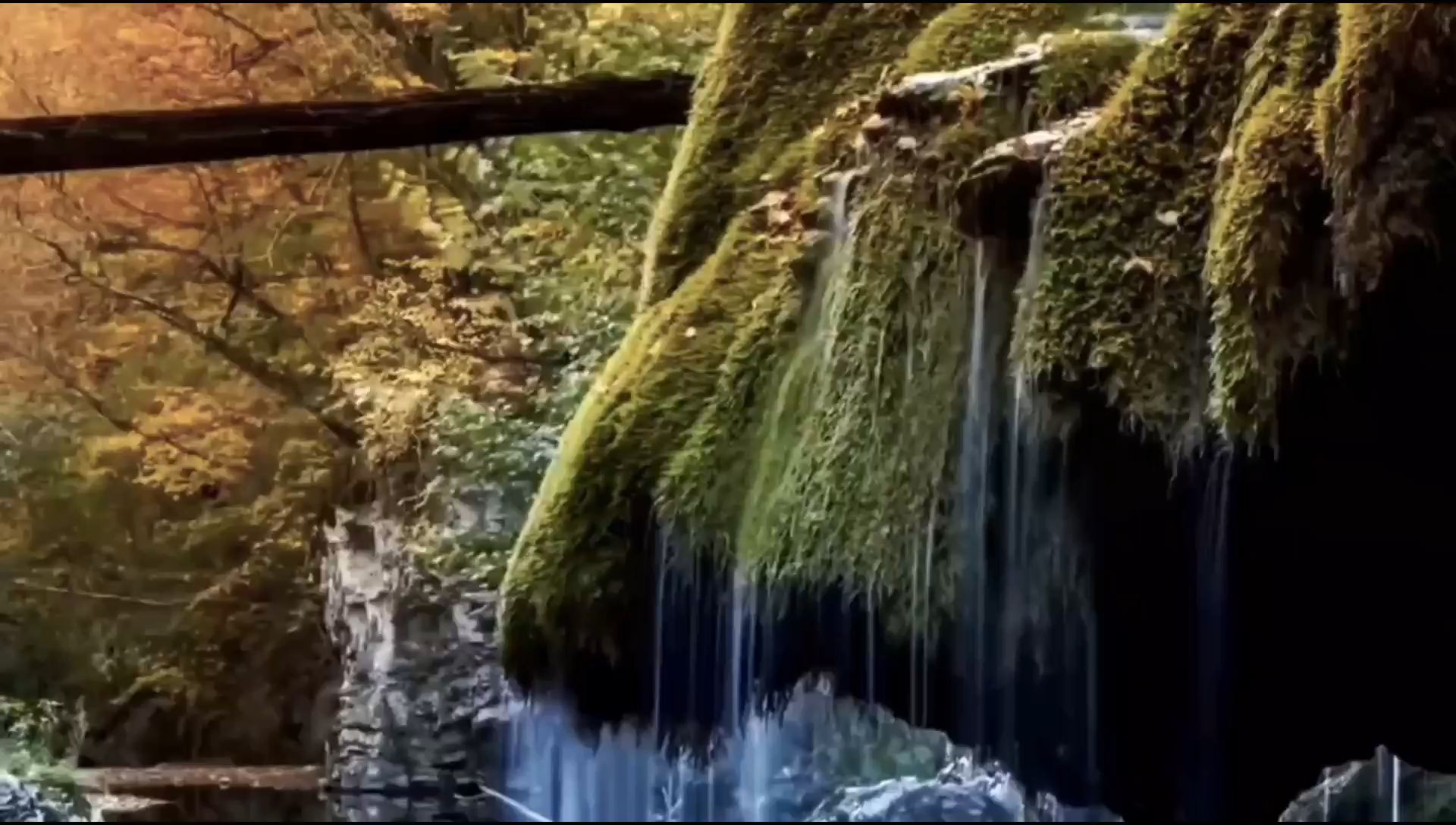 陕西商洛金丝峡景区旅行攻略#原始森林 #世界自然遗产 #天坑 #5a景区 #国家公园 #喀斯特地貌 