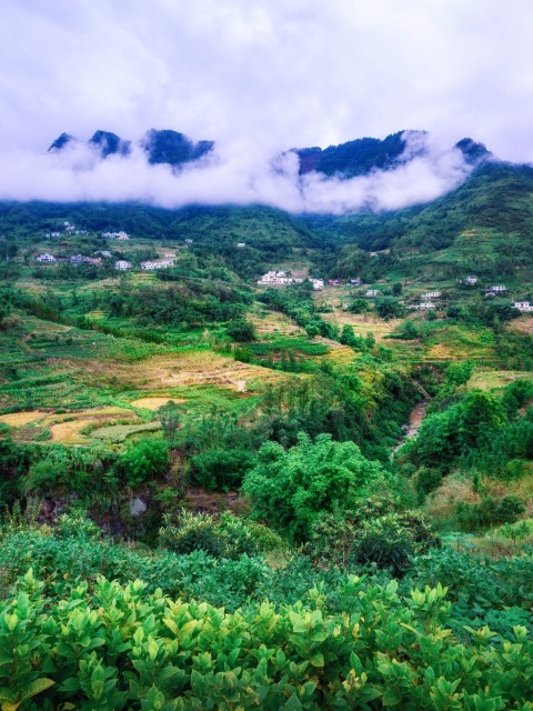 派乐汉堡·炸鸡(九丝城镇店)餐厅图片