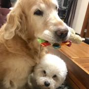 熊熊和彩票的旅行指南