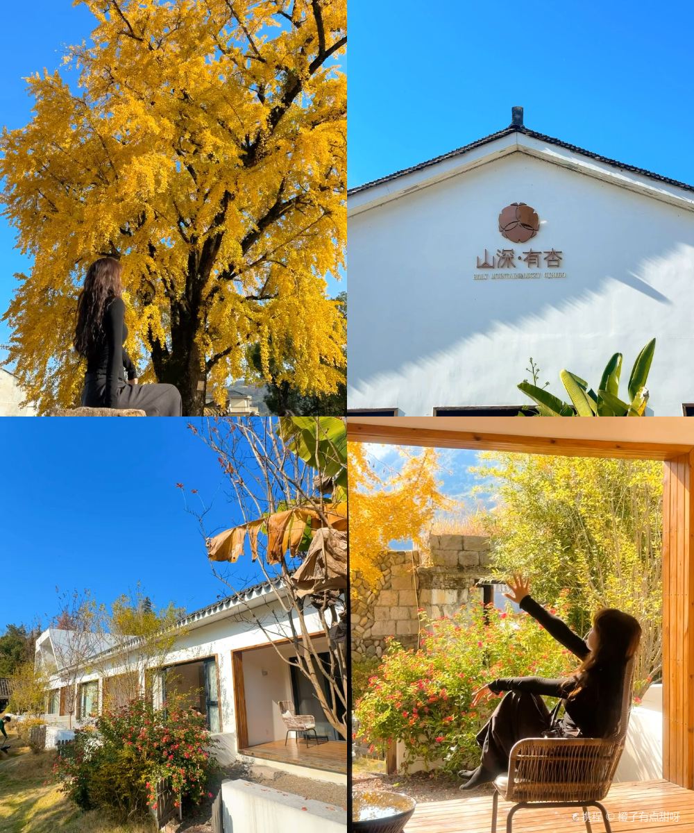 楠溪江山深有杏民宿图片