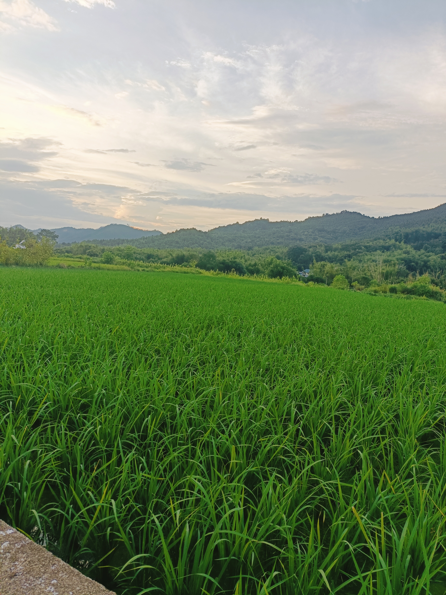 这就是我们的家乡 始兴花果山温泉度假村