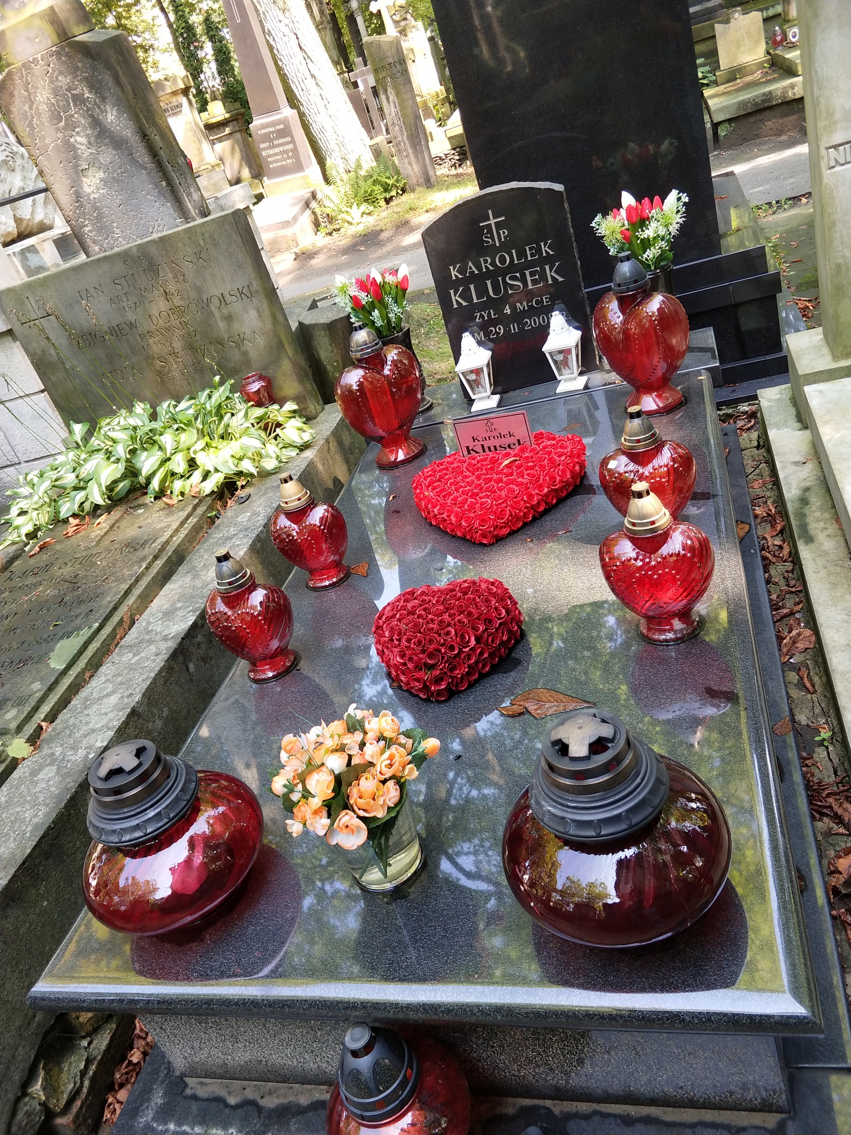 探访华沙墓园，近距离感受波兰殡葬文化