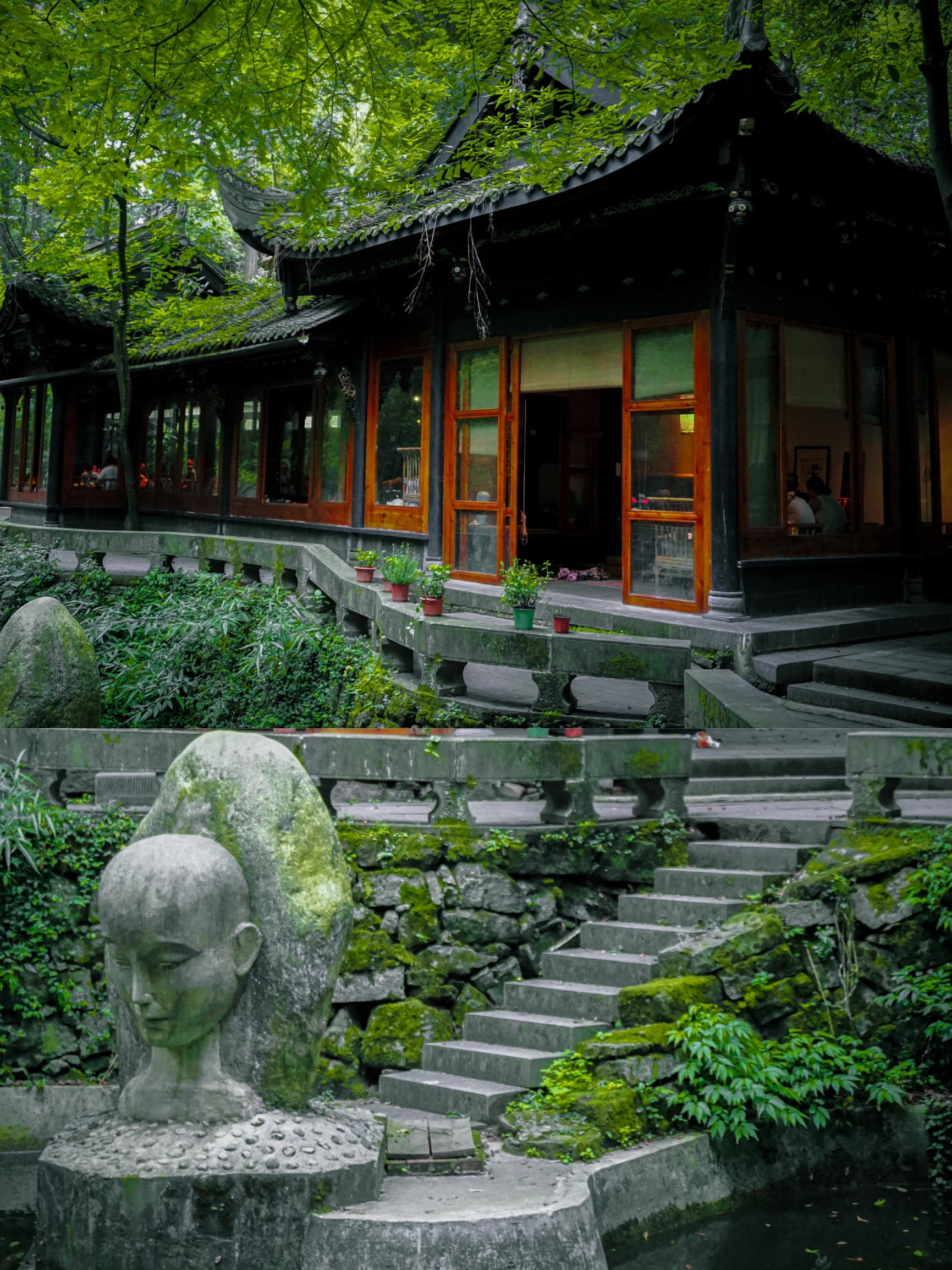 不是京都是成都！🌲森林里的仙境茶馆