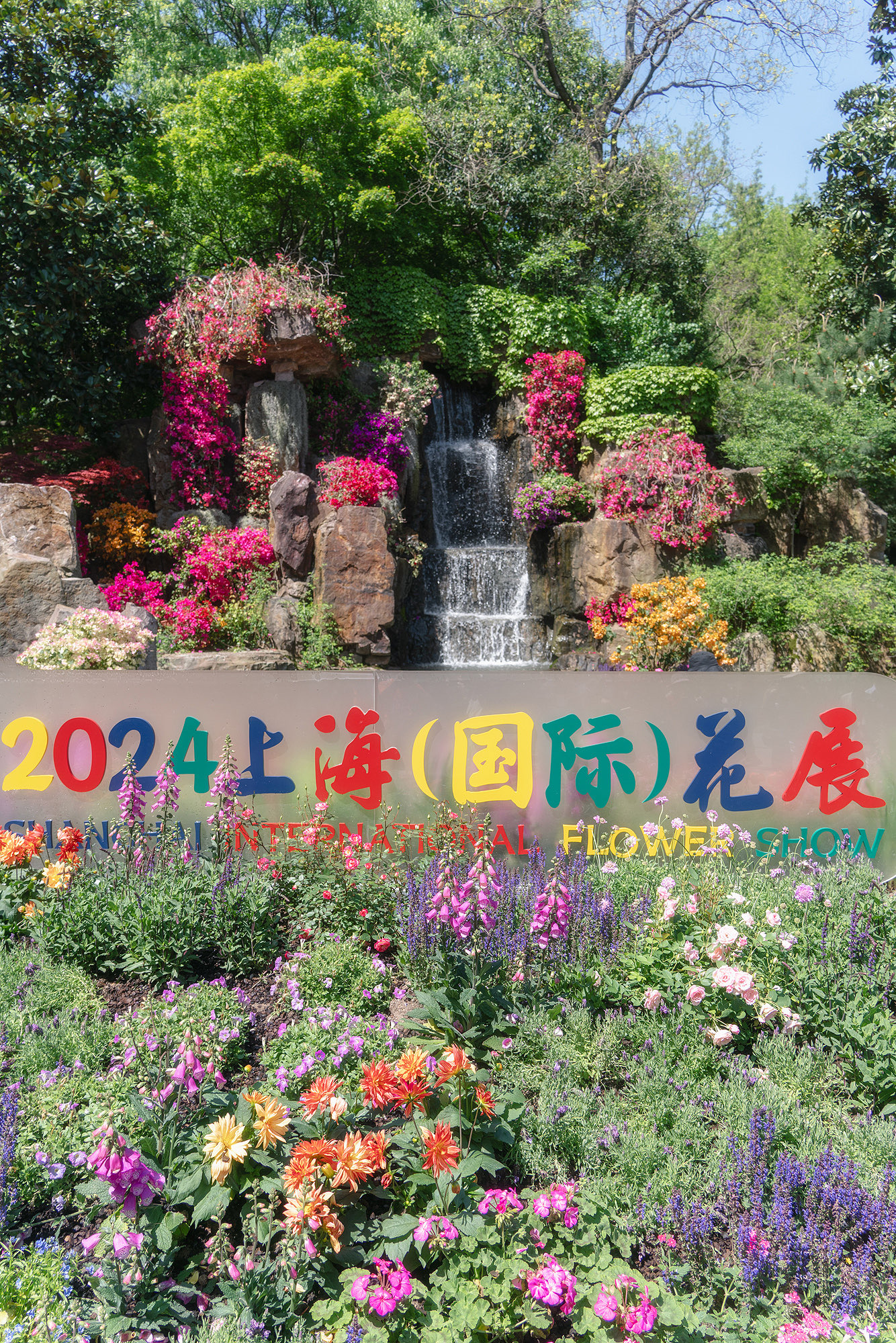 国际花展💐上海植物园赏花路线攻略