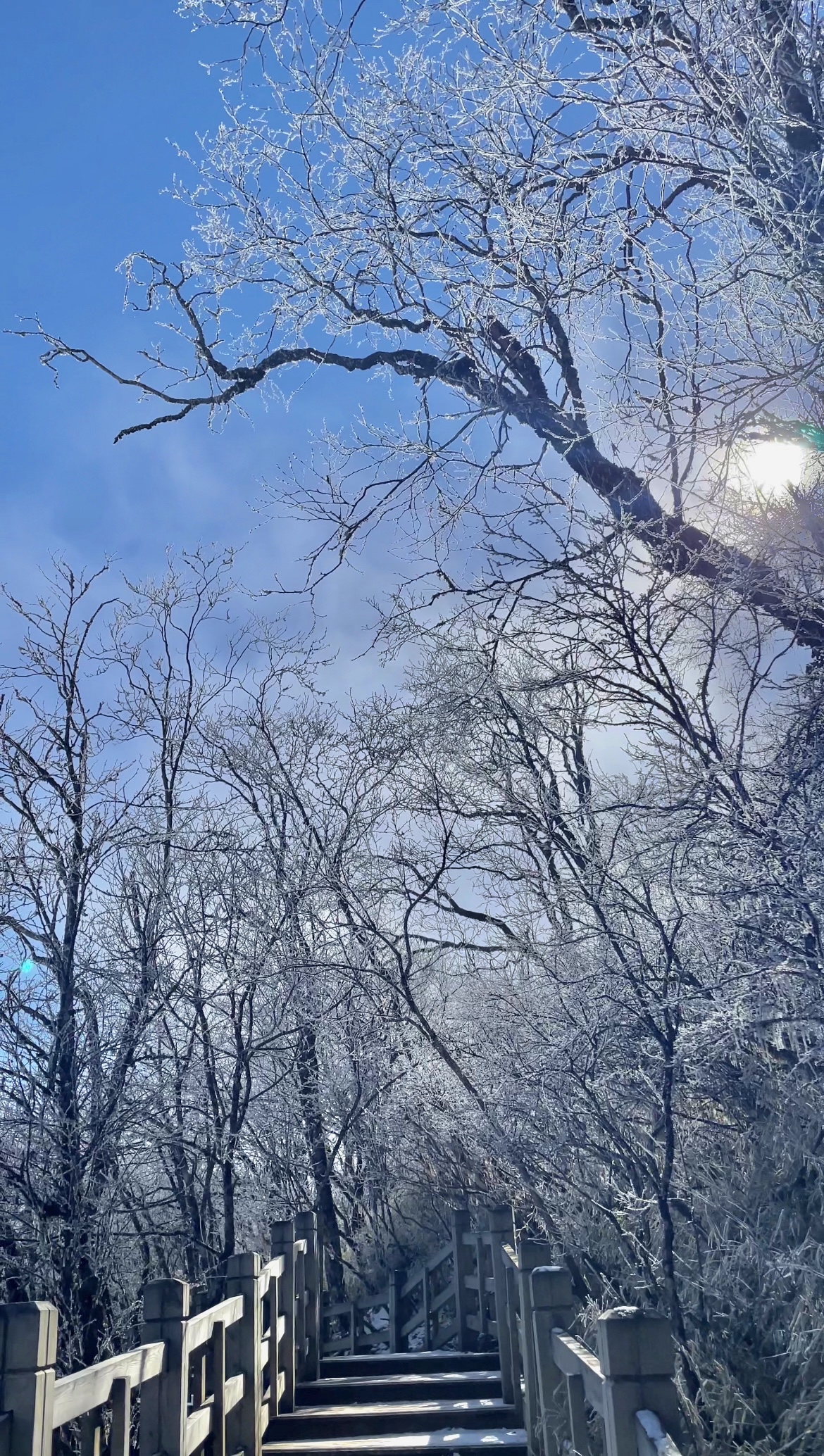 KT丨西岭雪山日记