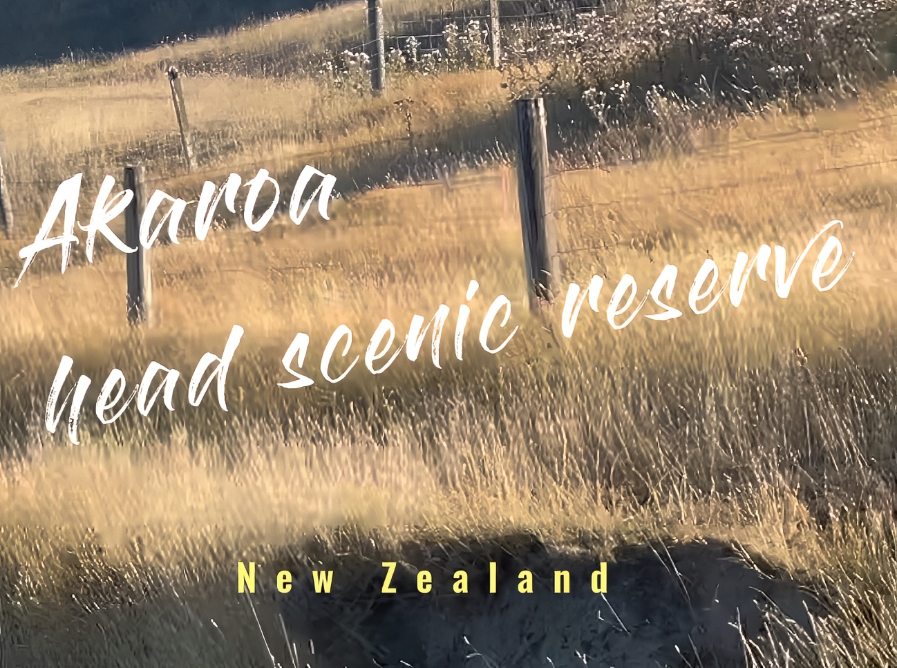 新西兰🇳🇿第一站 Akaroa 阿卡罗阿